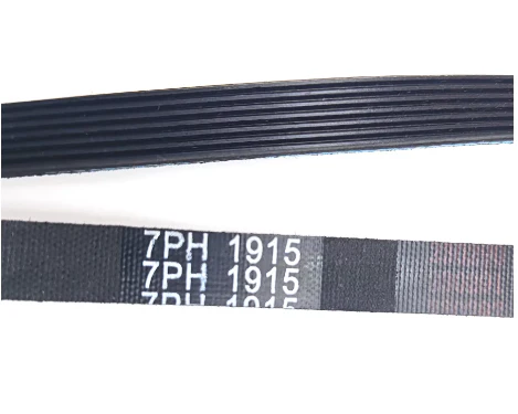 7PH 1915 Washing Machine Drive Belt - Image 3