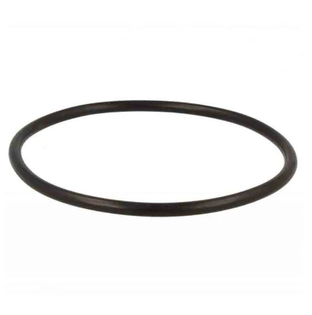 SP12815 Omega dishwasher O-ring for wash pump and heater - 12676000000780